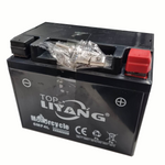 ATV Dirt Bike battery 6MF4L